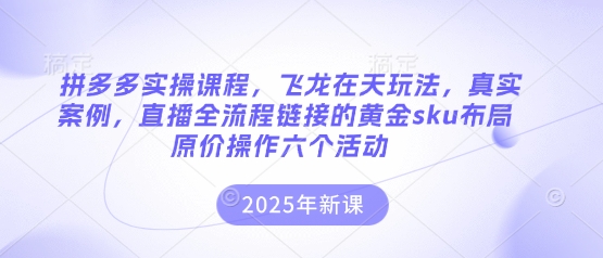 拼多多实操课程，飞龙在天玩法，真实案例，直播全流程链接的黄金sku布局原价操作六个活动-JM网创