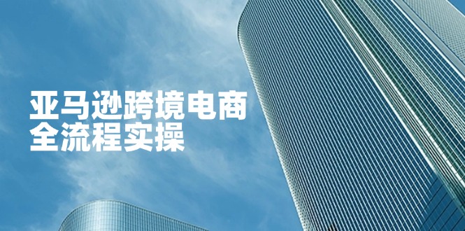（14252期）亚马逊跨境电商全流程实操，教你从零开始，掌握店铺运营与广告技巧-JM网创