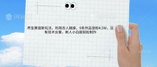 AI养生赛道新玩法，10条作品涨粉5.2W，操作简单，新人小白能轻松制作-JM网创