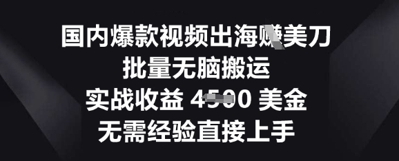 国内爆款视频出海挣美刀，批量无脑搬运，实战收益4.5k，无需经验直接上手-JM网创