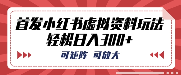 首发小红书虚拟资料玩法，可矩阵，可放大，轻松日入3张-JM网创