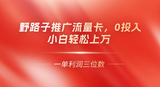 0门槛推广流量卡，一单收益上百，0投入，小白月入过W-JM网创