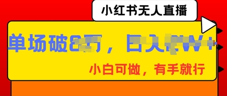 小红书无人直播，纯小白可做，有手就行，单场直播销售额破8w-JM网创